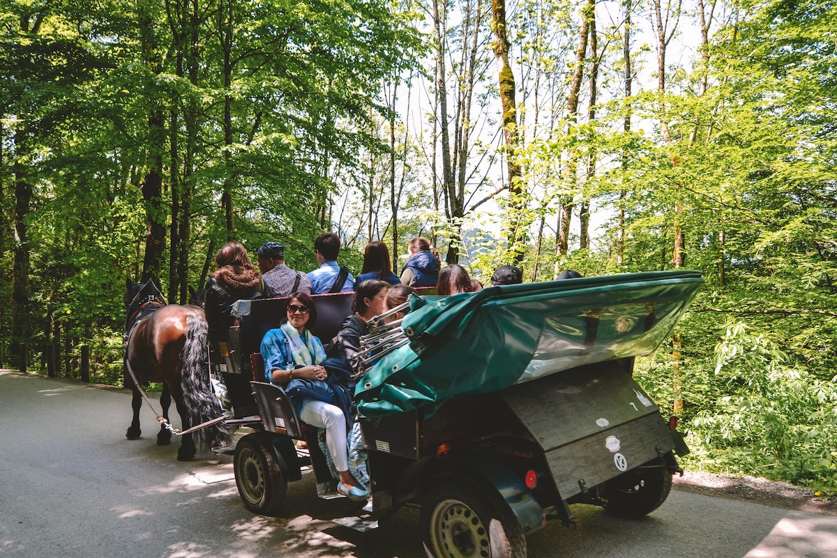 carriage going up to Neuschwanstein Castle