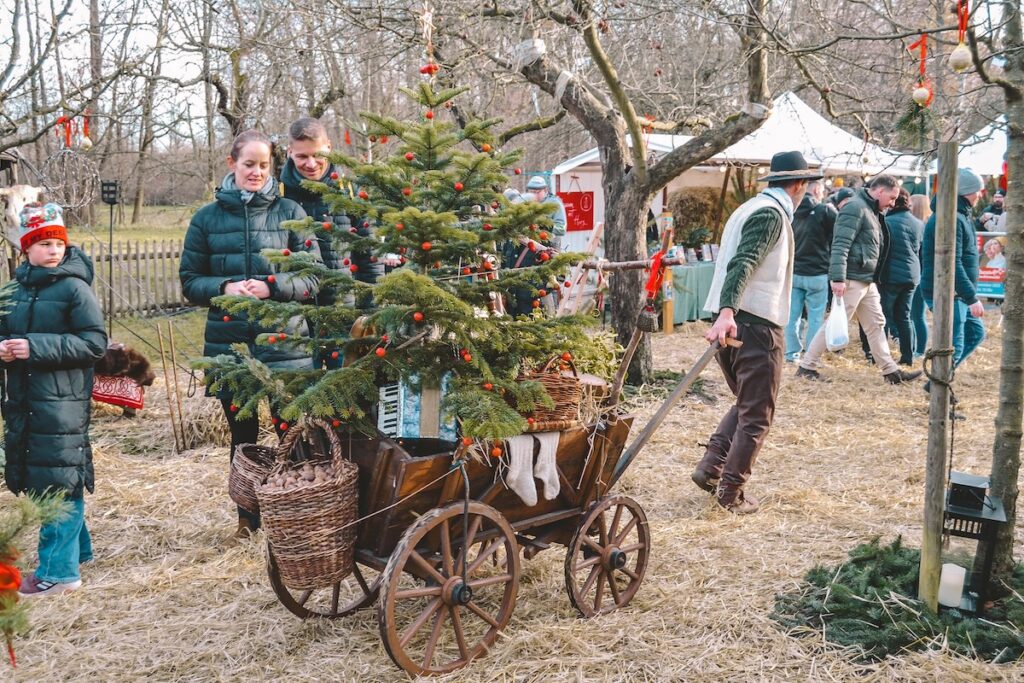 a man pulling a wagon with a Christmas tree at Christmas market