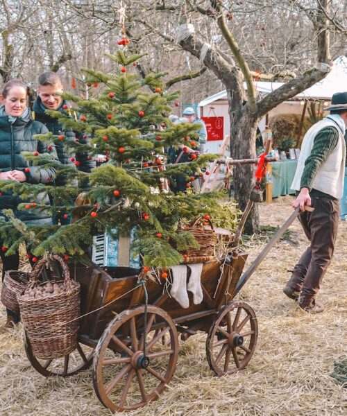 a man pulling a wagon with a Christmas tree at Christmas market